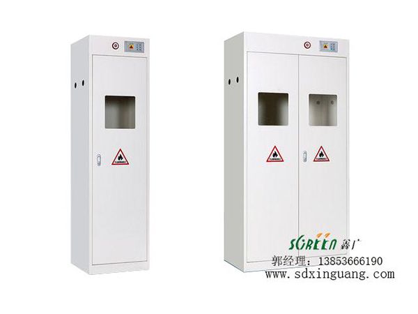 山東濰坊智能型含報(bào)警系統(tǒng)氣瓶柜