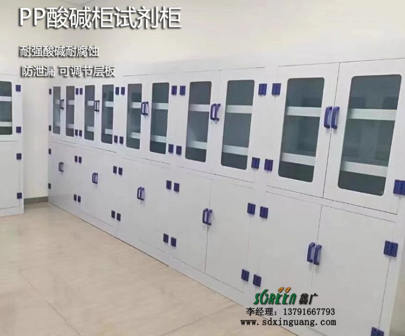 山東實(shí)驗(yàn)室試劑柜廠家，實(shí)驗(yàn)室酸堿柜藥品柜定做