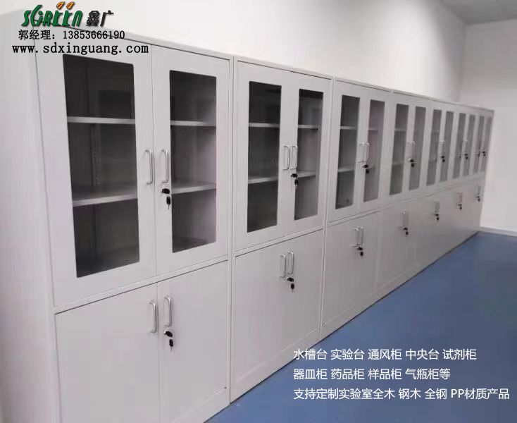 藥品柜 試劑柜 器皿柜 全鋼藥品柜 實(shí)驗(yàn)室PP藥品柜