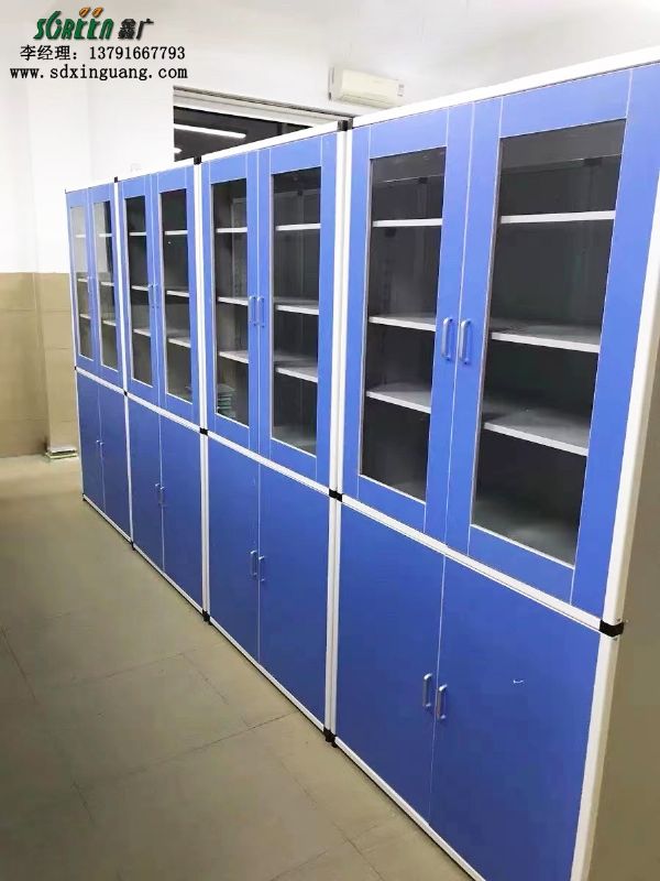 濰坊實(shí)驗(yàn)室設(shè)備藥品柜全鋼 排風(fēng)藥品柜 試劑柜 實(shí)驗(yàn)室試劑柜 酸堿柜