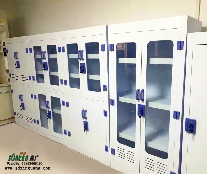 濰坊實(shí)驗(yàn)室PP試劑柜器皿柜酸堿柜 化驗(yàn)室樣品存儲(chǔ)柜