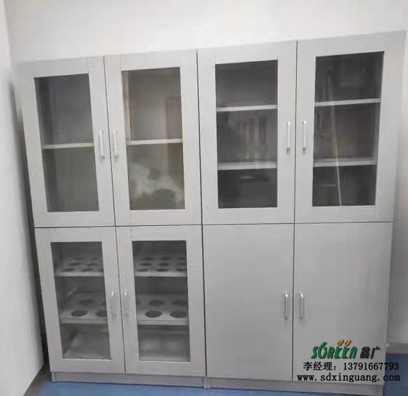 實(shí)驗(yàn)室器皿柜