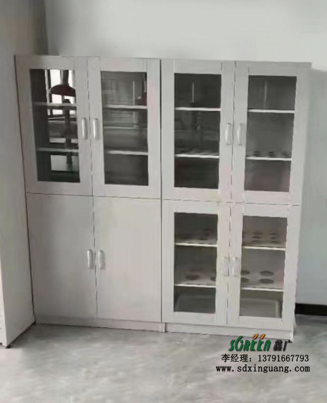 濰坊實(shí)驗(yàn)室家具實(shí)驗(yàn)臺廠家全鋼制雙開門器皿柜試劑柜