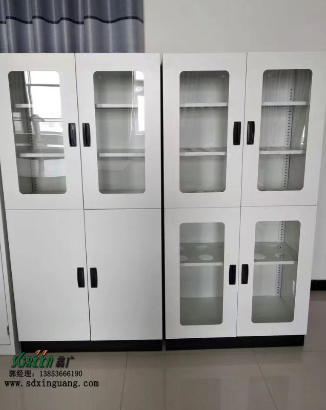 山東實(shí)驗(yàn)臺設(shè)備實(shí)驗(yàn)室專用全鋼器皿柜化驗(yàn)室專用設(shè)備