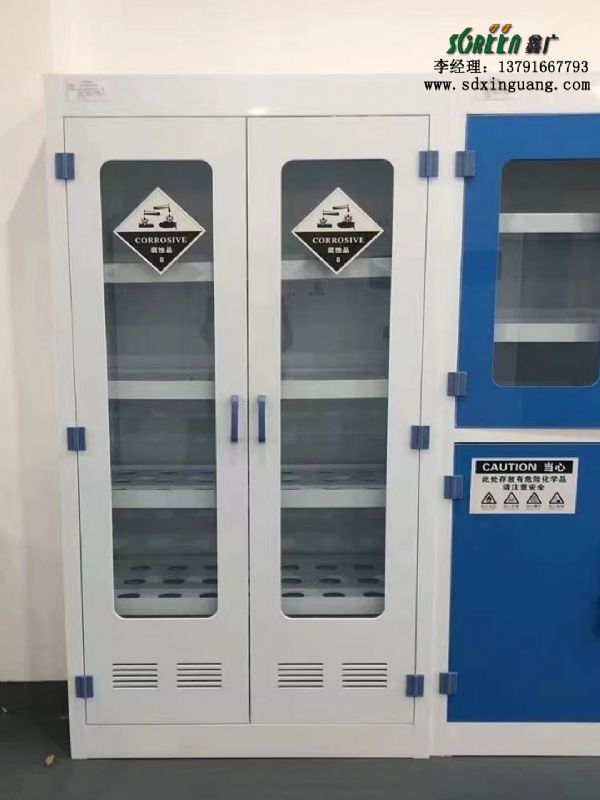 化驗(yàn)室設(shè)備 實(shí)驗(yàn)室器皿柜 pp器皿柜 耐酸堿柜