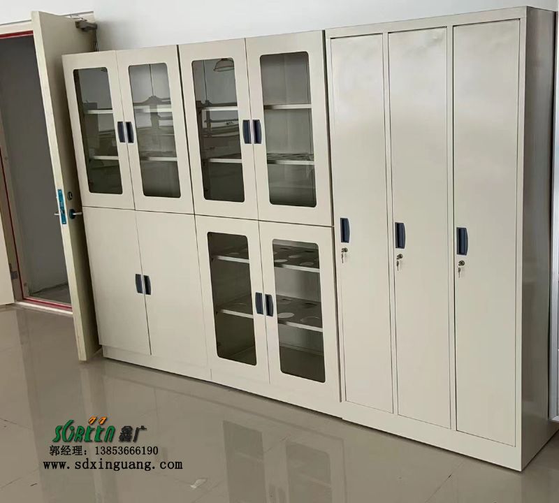 全鋼試劑柜樣品柜儀器柜實(shí)驗(yàn)室器皿柜廠家批發(fā)