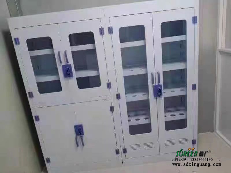 濰坊pp藥品柜 試劑柜 器皿柜定制