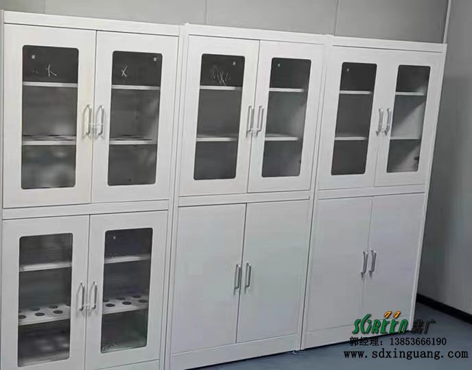鑫廣實(shí)驗(yàn)室藥品柜 器皿柜 儲存柜規(guī)劃設(shè)計(jì)