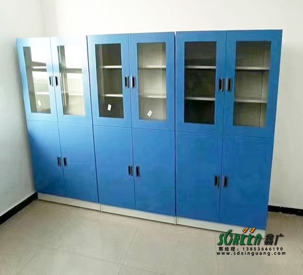 鑫廣化驗室通風器皿柜 物理化學實驗室試劑柜