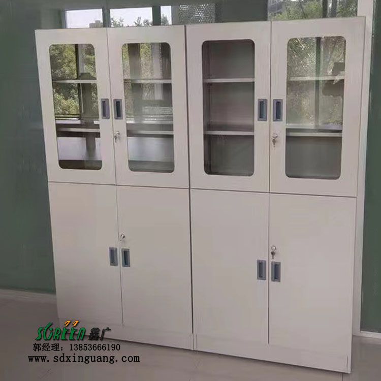 供應實驗室設備 全鋼器皿柜 化學試劑柜廠家